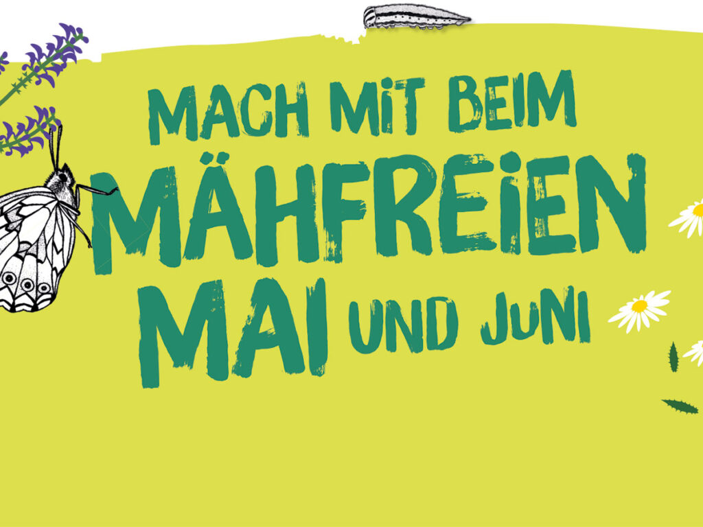 Mach mit beim mähfreien Mai / Juni